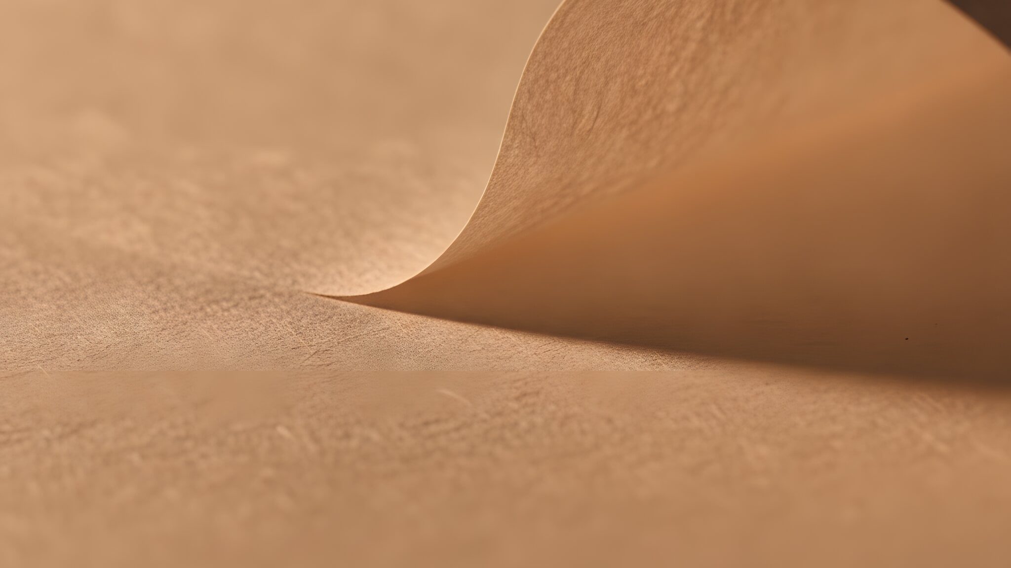 Paper sheet surface in raking light