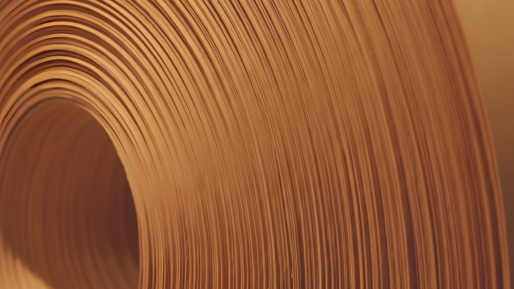 Edge of a paper roll — the stock our web presses run